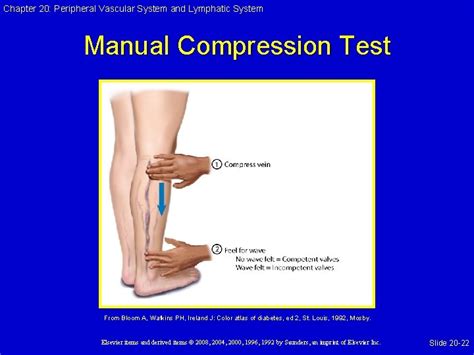 manual compression test peripheral vascular video|Manual Compression .